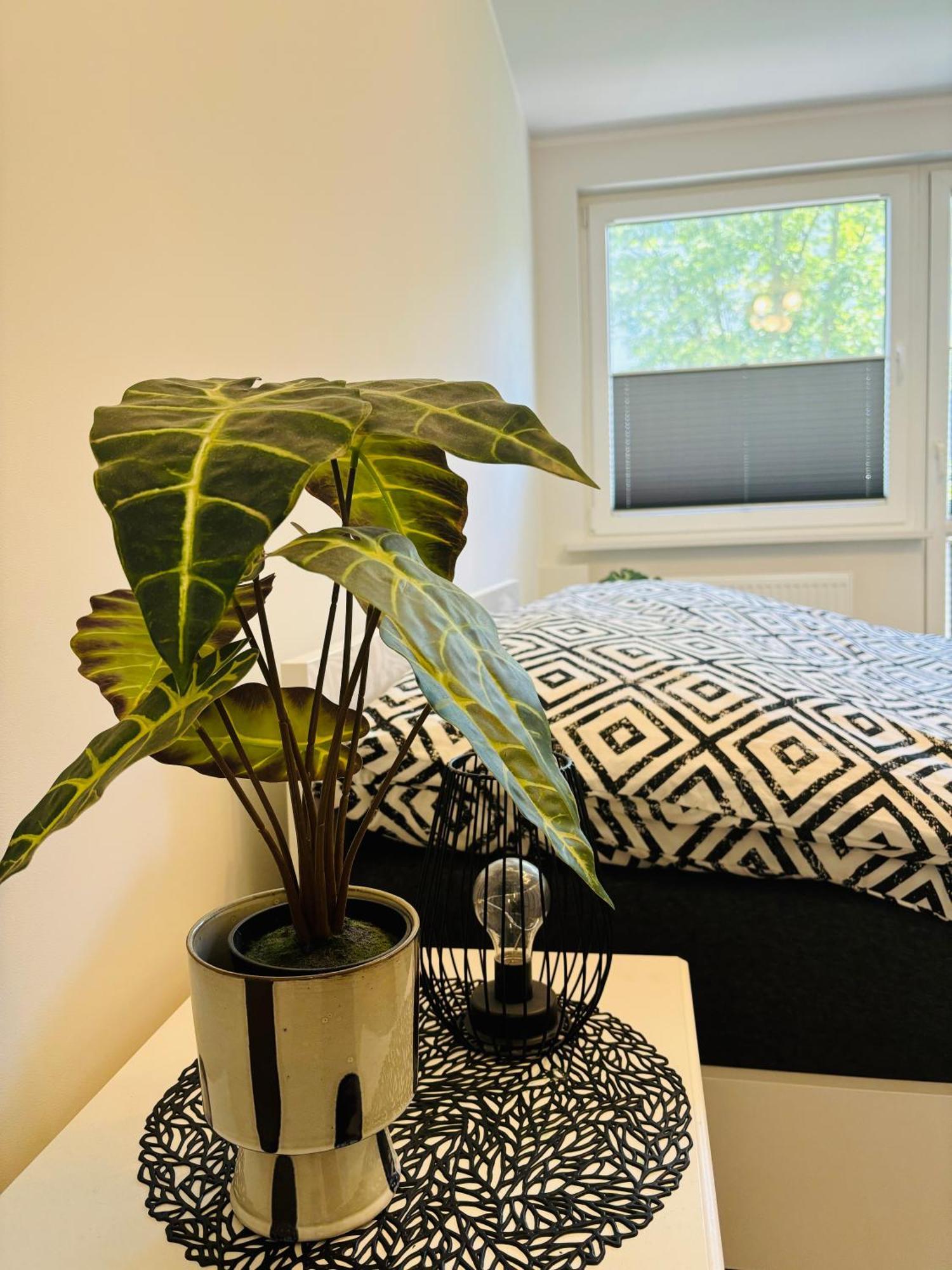 Apartament Centrum Swinoujscie 1 エクステリア 写真